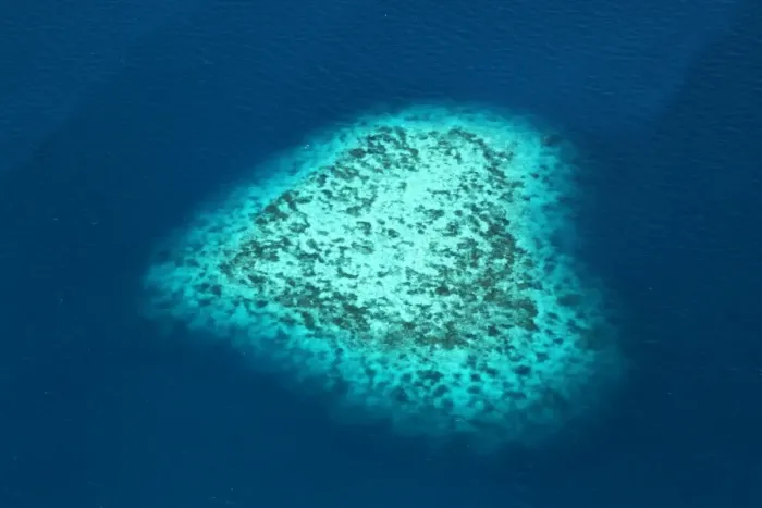 : Aerial view of a heart shaped island, Republic of Palau, Micronesia, Pacific Ocean : Aerial view of a heart shaped island, Republic of Palau, Micronesia, Pacific Ocean