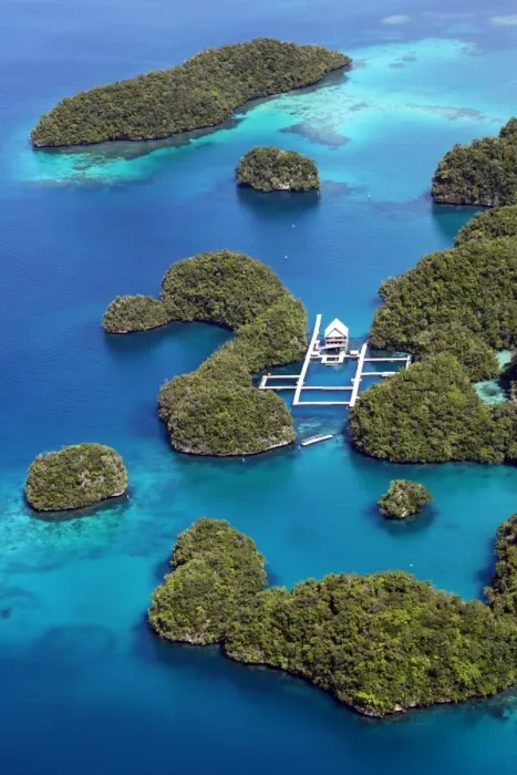  : Aerial view of islands and Dolpjins of the Pacific, Republic of Palau, Micronesia