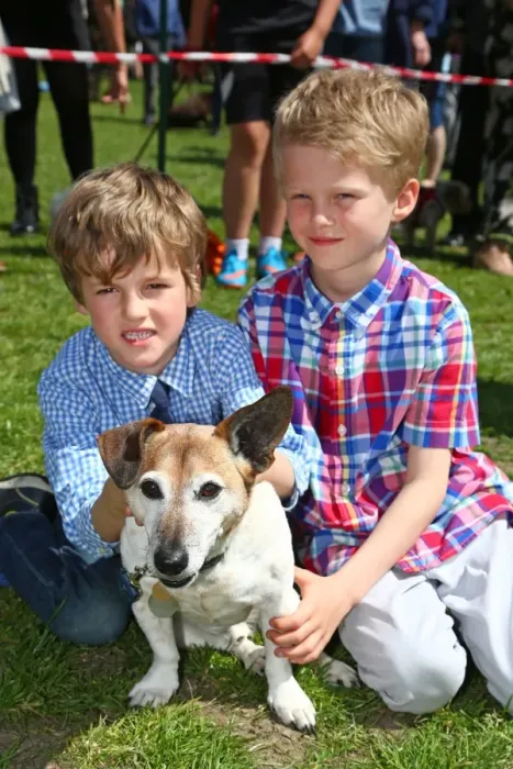 : All Dogs Matter Great Hampstead Bark Off 2015, Hampstead Heath, London : All Dogs Matter Great Hampstead Bark Off 2015, Hampstead Heath, London