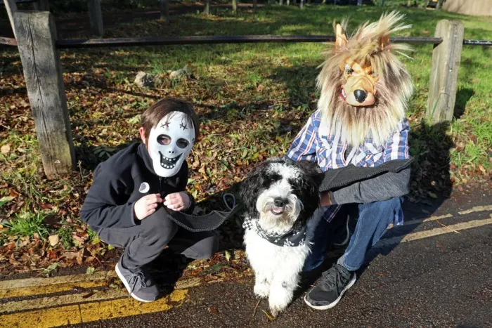  : All Dogs Matter Halloween Dog Walk, Hampstead Heath, London
