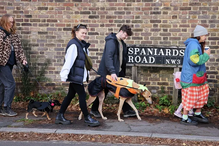  : All Dogs Matter Howloween Dog Walk, Hampstead Heath, London