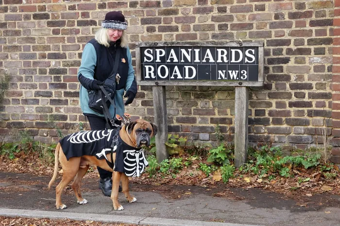 : All Dogs Matter Howloween Dog Walk, Hampstead Heath, London
