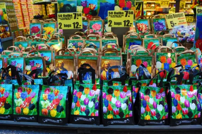  : Amsterdam, Holland