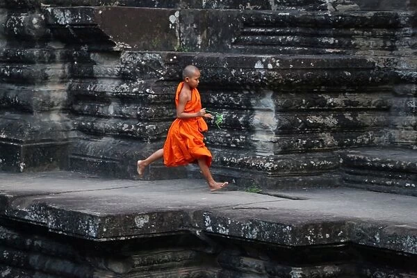 Angkor 2016
