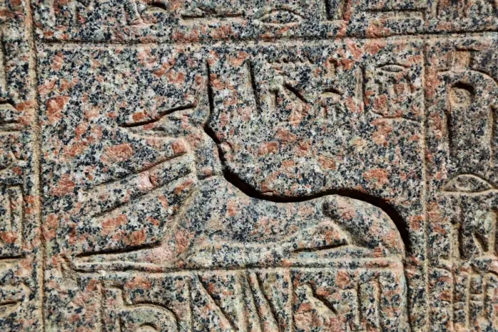 : Anubis hieroglyphics at the Memphis Museum, Cairo, Egypt