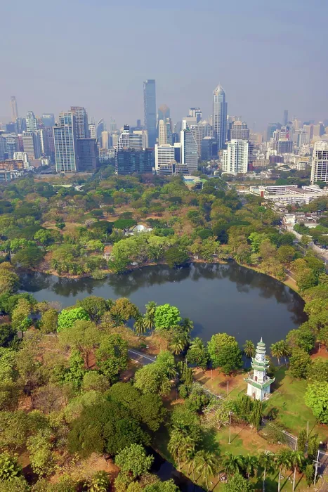  : Bangkok city skyline and Lumphini Park, Bangkok, Thailand