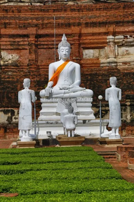  : Buddha statues at Wat Yai Chaimongkol Temple, Ayutthaya, Thailand