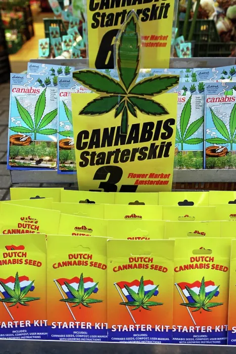  : Cannabis plant seed starter kit souvenirs at the Flower Market in Amsterdam, Holland