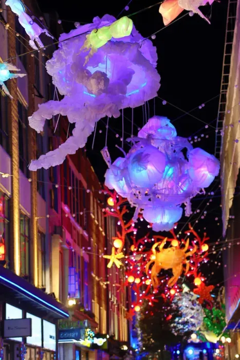  : Carnaby Street Christmas lights switched on, Carnaby Street, London