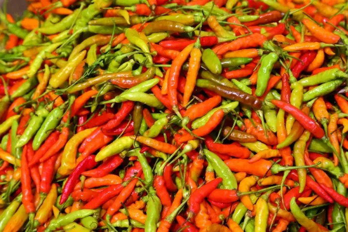  : Chillis in the street market in Luang Prabang, Laos