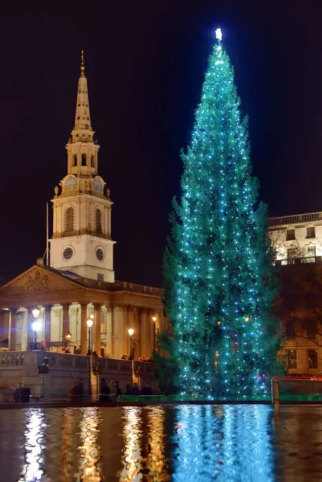  : Christmas Tree in Trafalgar Square, London