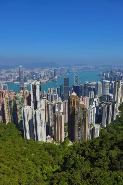  : The city skyline of Hong Kong from Victoria Peak in Hong Kong, China