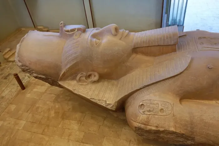  : The Colossus of Ramesses II, Pharoah of Egypt statue at the Memphis Museum, Cairo, Egypt