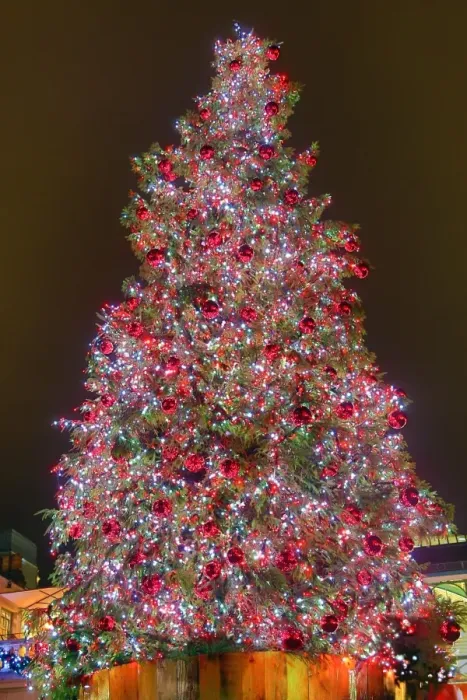  : Covent Garden Market Christmas Decorations and Lights, London, England