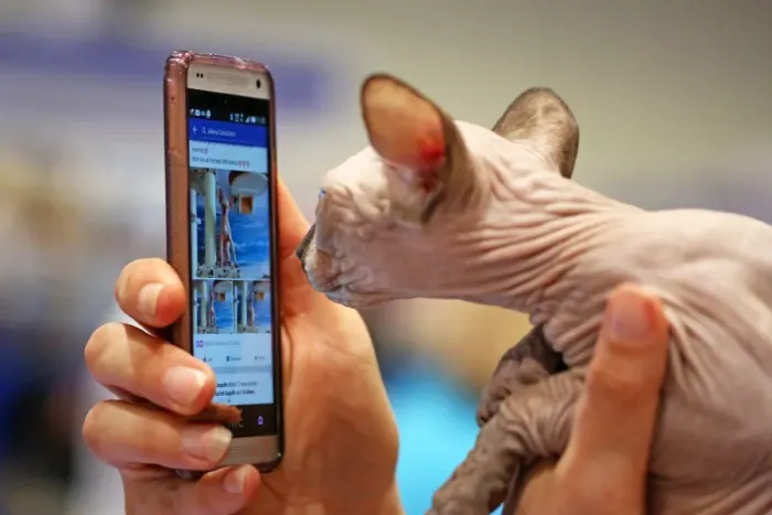  : Cute meets weird and quirky at the National Pet Show, Excel, London