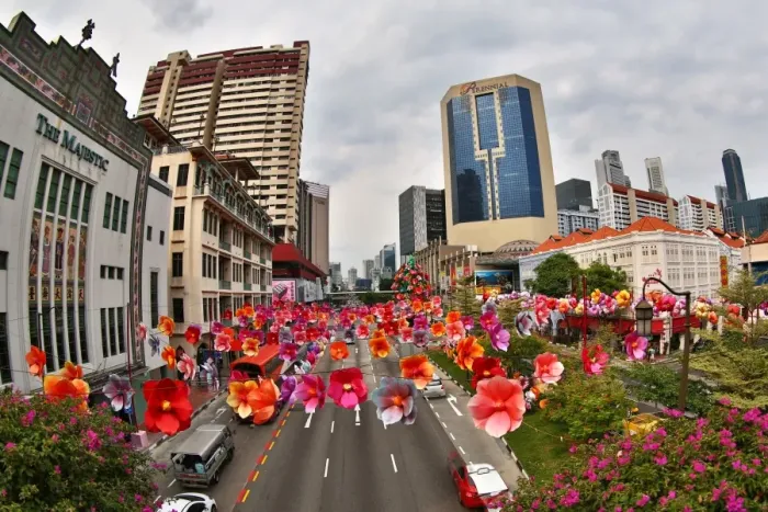  : Flower lights in the street in Chinatown for Autumn Festival in Singapore, Republic of Singapore