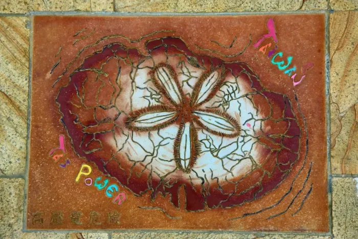  : Fossil tile at the Yehliu GeoPark, Wanli in Taiwan