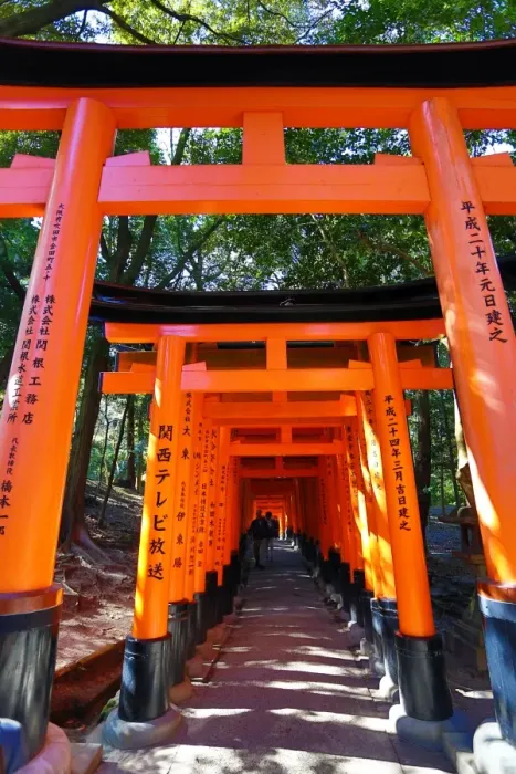  : Fushimi Inari shrine red torii gate tunnel in Kyoto, Japan