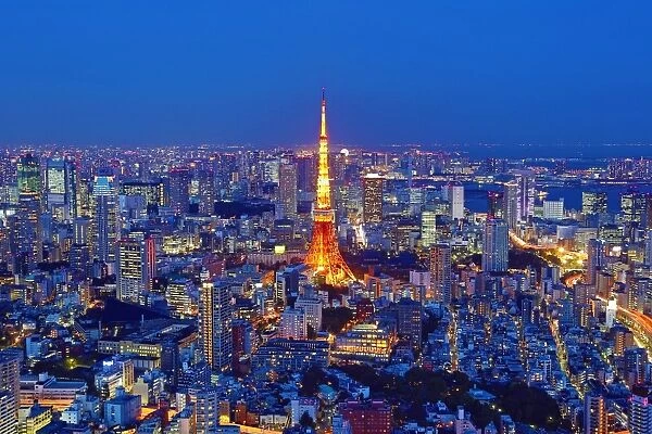 General city skyline evening view with the Tokyo Tower in Tokyo, Japan