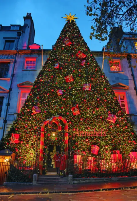  : Giant Christmas tree decoration outside Annabels, Berkeley Square, London