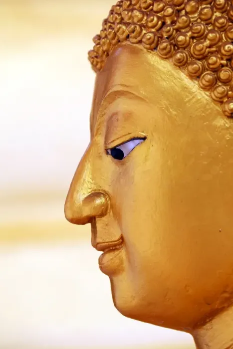 : Gold Buddha statue head and face at Wat Panping Temple in Chiang Mai, Thailand