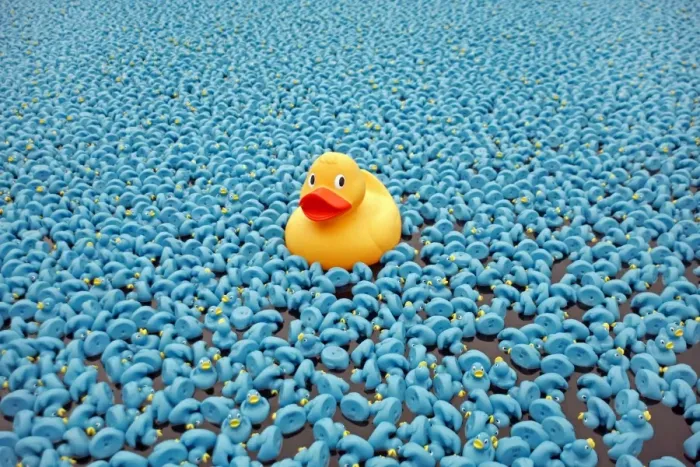  : Great British Duck Race 2008