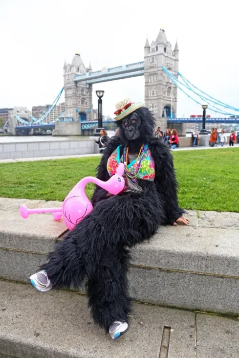  : Great Gorilla Run 2014, London, England