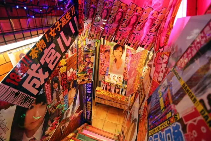  : Interior of a Japanese DVD sex shop, Tokyo, Japan
