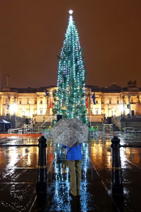  : Lighting of the Trafalgar Square Christmas Tree in London