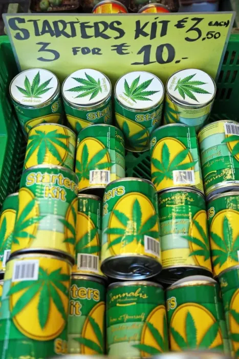  : Marijuana plant drug starter kit for growing drugs on sale at the Flower Market in Amsterdam, Holland