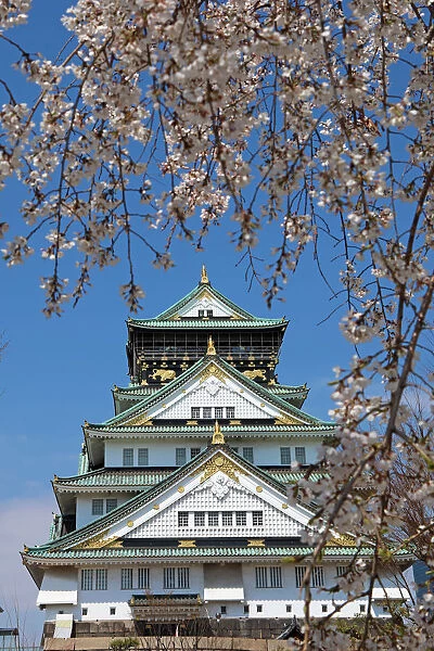 Osaka Castle seen through cherry blossom trees in Osaka, Japan