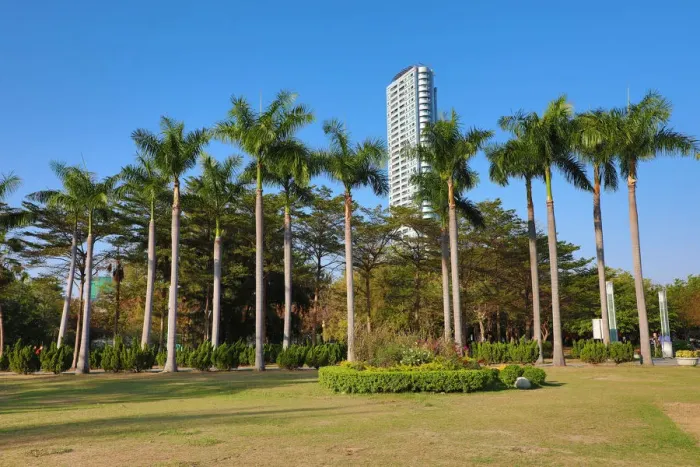  : Palm trees in Central Park, Kaohsiung City, Taiwan