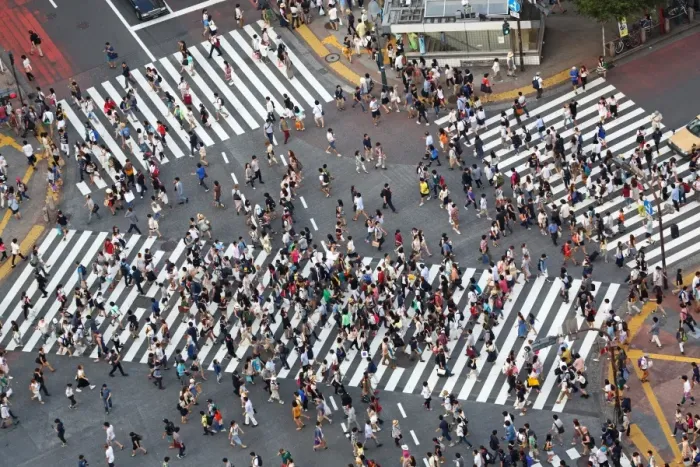  : People crossing the pedestrian crossing at the intersection in Shibuya, Tokyo, Japan
