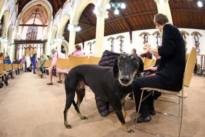  : Pet Blessing Service for World Animal Day, St. Martins Church, Kensal Green, London