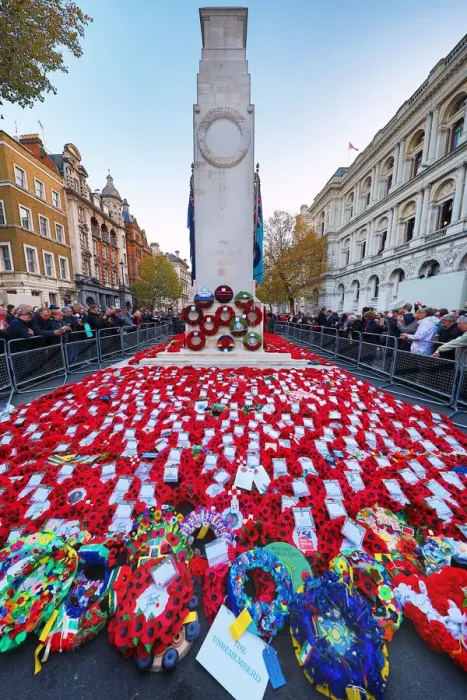  : Poppies at the Cenotaph, 100th anniversary of the World War I Armistice, Whitehall