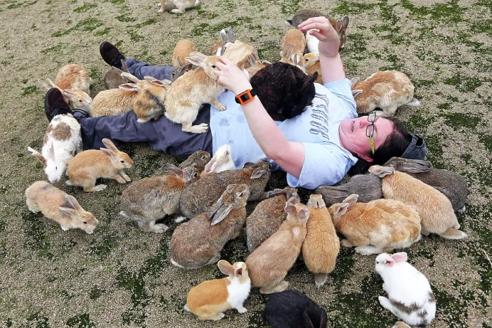  : Rabbits on Okunoshima Island