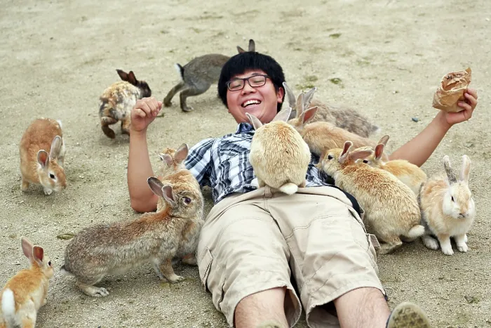  : Rabbits on Okunoshima Island