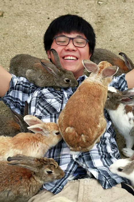  : Rabbits on Okunoshima Island