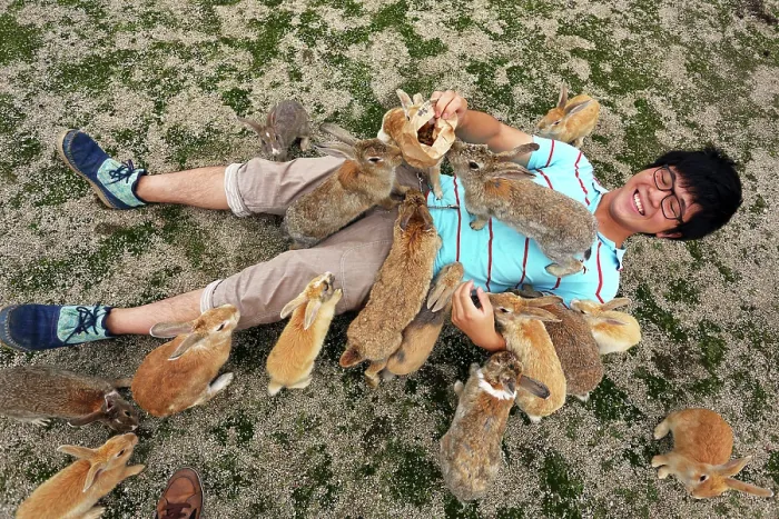  : Rabbits on Okunoshima Island
