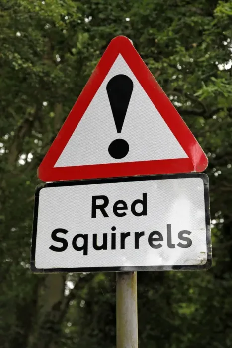  : Red Squirrel Warning Sign