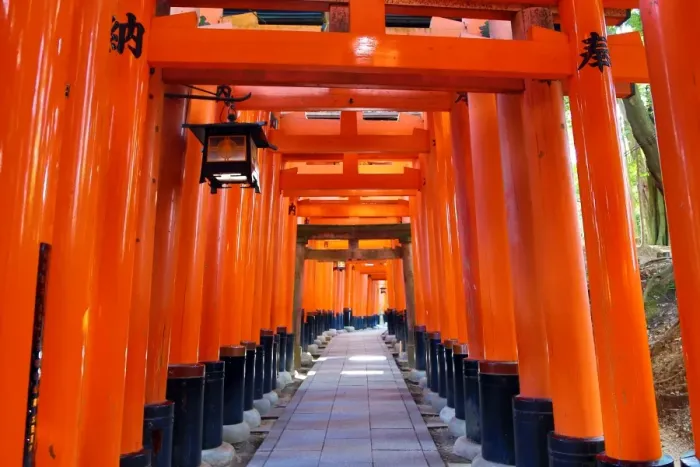  : Red torii gate tunnel at Fushimi Inari Shinto shrine in Kyoto, Japan