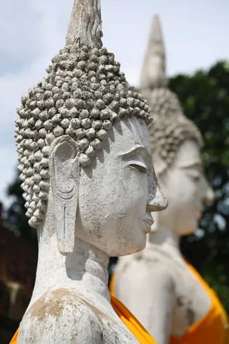  : Row of Buddha statues at Wat Yai Chaimongkol Temple, Ayutthaya, Thailand