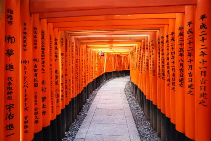  : Senbon red Torii gate tunnel, Fushimi Inari shrine, Kyoto, Japan