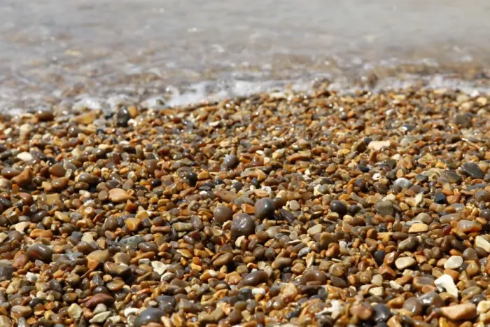  : Shingle on the beach