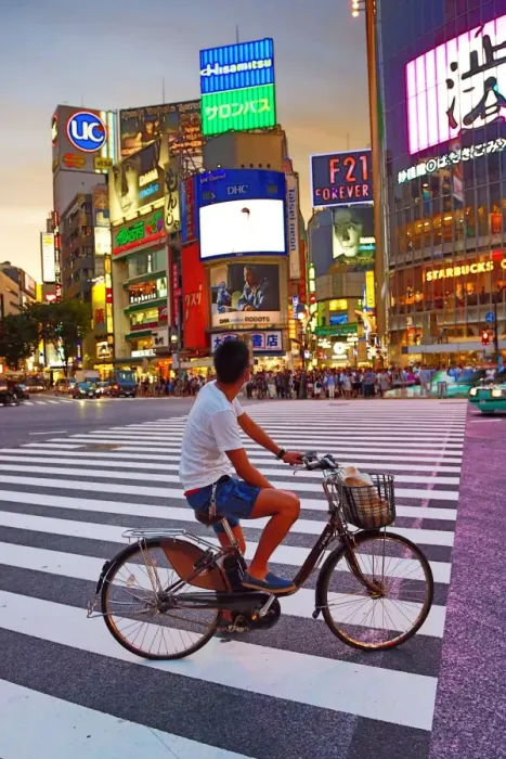  : Sunset at the pedestrian crossing at the intersection in Shibuya, Tokyo, Japan
