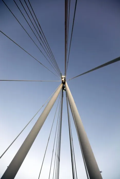  : Suspension cables of the Golden Jubilee Bridge