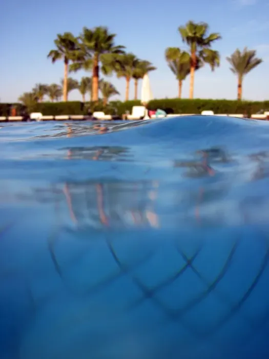  : Swimming pool and palm trees