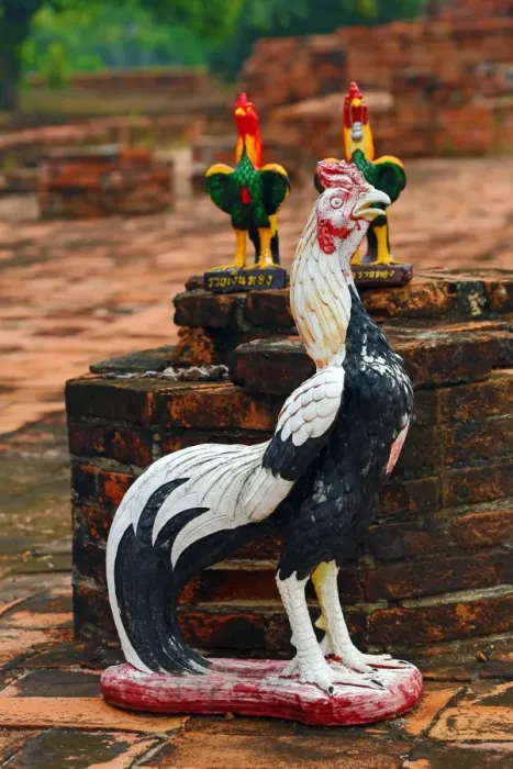  : Temple of a Thousand Roosters, Wat Thammikarat, Ayutthaya, Thailand - 7 Jul 2017