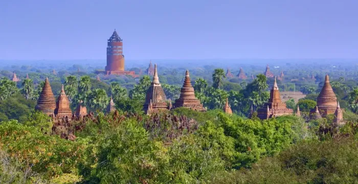  : Temples and pagodas and the Bagan Viewing Tower on the Central Plain of Bagan, Myanmar