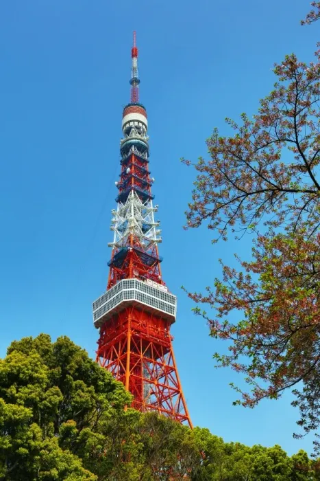  : The Tokyo Tower, Tokyo, Japan